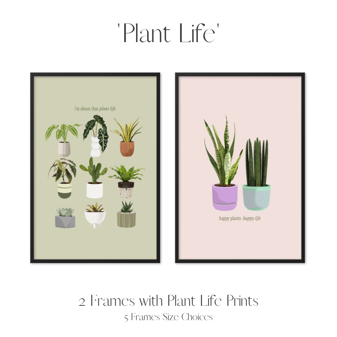 Set of 2 Frames Including Minimalist Plant Life Prints